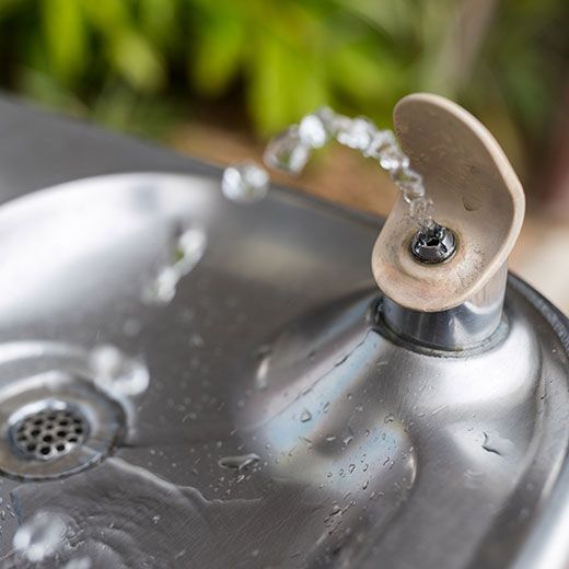 Commercial Plumbing Services In Pittsford: Save With Colin The Plumber! 